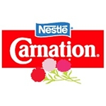 Carnation